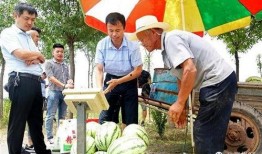 吃瓜最新事件爆料交城,揭秘吃瓜群众最新爆料背后的真相